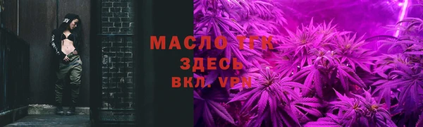 тгк Новозыбков