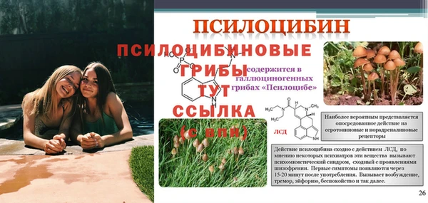 тгк Новозыбков