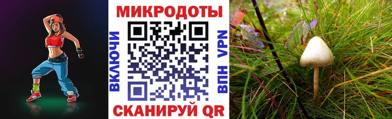 MEGA tor  как найти закладки  Щёлково  Псилоцибиновые грибы Cubensis 